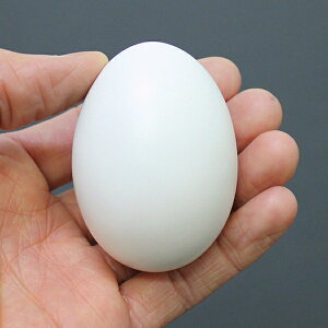 C[X^[܂@AȐFhfUC܂@10Zbg / ܂  GbO  ii v[g ^ 