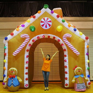 NX}X GAu[ @WW[nEX@W430cm@H450cm/L/ fBXvC