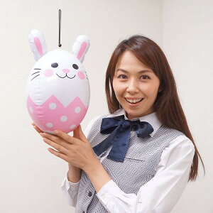 C[X^[@rj[@H29cm /   fBXvC/L