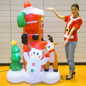 NX}X GAu[ @͂̃T^V[@H180cm×W125cm/ fBXvC