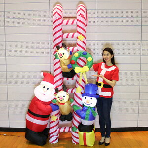 NX}X GAu[ @͂tY@H260cm/L/ fBXvC