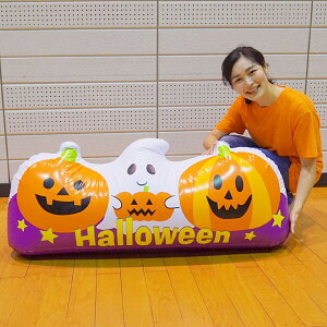 nEB @GAu[ rj[fBXvC@pvLS[XgtY@W120×H50cm / nEB fR[V t