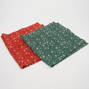 NX}XJbgNXi50×109cmj@2Zbg /  n NX