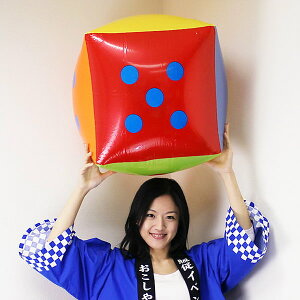 rj[W{TCR@45cm@J[/[1Zbg܂ŉ// L