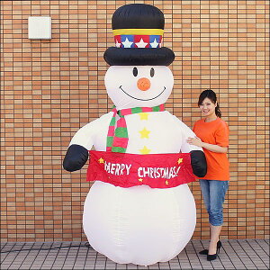 NX}XGAu[@Xm[}@H260cm / L/ NX}X   GAfBXvC