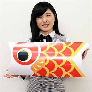 q̓@̂̂ڂPOP@W55cm@ / ̂ڂ /L/ q̓   fBXvC ̂ڂ