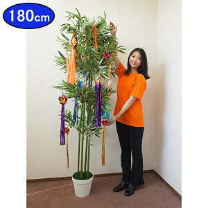 |bg4{āA[plH|@H180cm@[Cxgޗꎮt /uȒP X^hsv [Cxg 傫Ėڗ t/[^i160cmȏ]