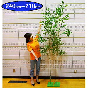 [@|т̂悤ȑ傫̂{i2{Zbg@240cm{210cm+X^h2t / ou[c[ [p [| |