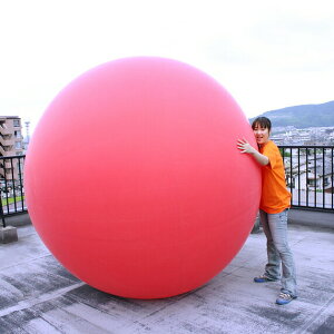 yYzW{o[[啗D]@8tB[g(240cm)TCY