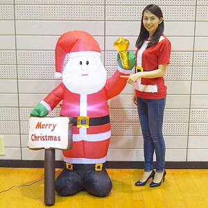 NX}X GAu[ @EGJxT^@H150cm/L/ fBXvC