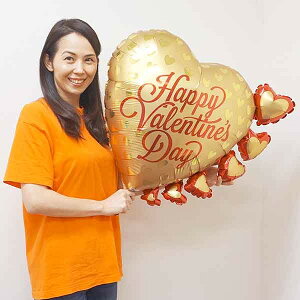 o^CD@TeCt[YhS[hn[g@W60cm /[։