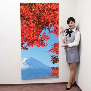 �^�y�X�g���[�@�H�@�x�m���݂��@�h�����H [���� ���� �f�B�X�v���C]