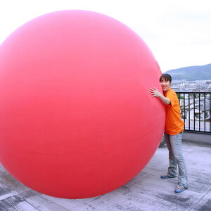 yYzW{o[[啗D]@12tB[g(360cm)TCY