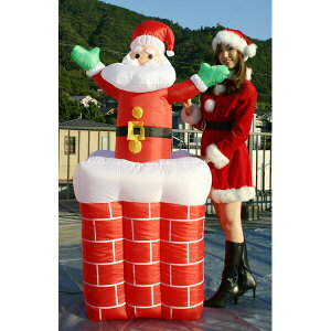 NX}X GAu[ @[rOGgcT^@H180cm /L/ fBXvC