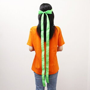 O͂܂ 300cm×4cm /  n`}L  / [։