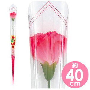 ̓v[g bsOJ[l[V sN 40cm i20{j / ̓   J[l[V