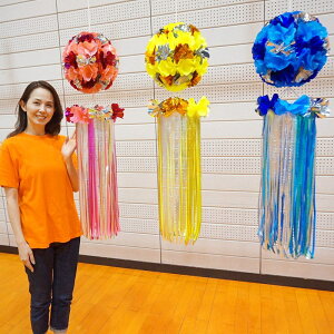 [@Cʐi100cmj /    fBXvC fR[V