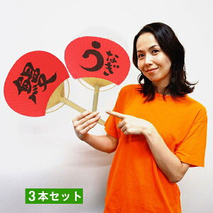 yp̉N@|@Ȃ^V@37×W24cm@3{Zbg