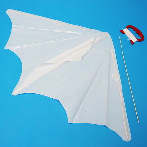 gȒP@G`70cm񂮂@[rj[]@10