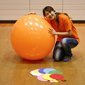 y}[VAYziW{o[[啗D]@75cm