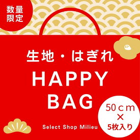 【1000円ポッキリ】【柄が選べる福袋】カットクロス おためし 福袋 生地 はぎれ セット 高級 おしゃれ 布 布地 詰め合わせ はぎれ生地 生地幅 95cm〜150cm×50cm アソート 手芸 小物 テキスタイル ハンドメイド 子ども こども 子供 人形 大きめ