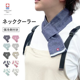 【最大500円OFF／限定クーポン発行中】【保冷剤2個入り】今治タオル ネッククーラー 無地 ボーダー綿100％ ガーゼタオル 首 ひんやり 首を冷やす 首冷却 男女兼用 差し込みタイプ 保冷剤ポケット エコ保冷剤 熱中症 暑さ対策 日焼け対策 肌荒れ対策