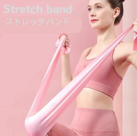 エクササイズバンド ゴムバンド 筋トレ トレーニングチューブ フィットネスバンド ダイエット ヒップバンド 美尻 トレーニング フィットネス 帯 幅広 ハード 筋トレ 懸垂 エクササイズバンド ゴムバンド 強度別 ゴムチューブ 懸垂補助 ベルト チューブ ピラティス