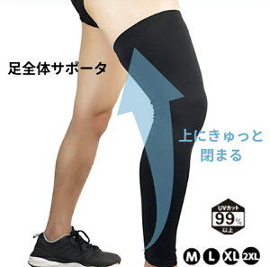 X|[cp O J[tT|[^[ J[t r T|[^ GT|[^[ qU Ђ ӂ͂ Gp  r  ubN x[W  F jp E T|[g GNEH[LO ۍ