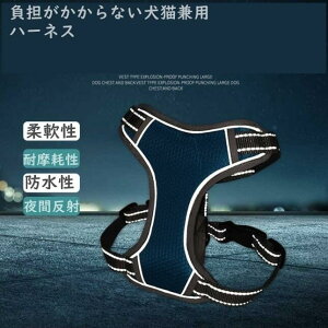 n[lX  n[lXxg n[lX p  n[lX  n[lX ^ n[lX t@bV n[lX  킢  n[lX [h  n[lX 킢 h~ q