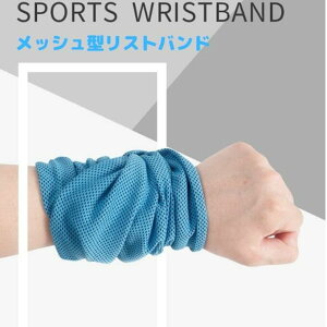 Xgoh X|[c fB[X Y ~ 1000~|bL  ی z ~  @Xg X|[c  K oXP ejX TbJ[ jO W 