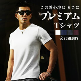 【メール便対応】 Tシャツ メンズ 半袖 ストレッチ 厚手 透け防止 白Tシャツ メンズ 半袖Tシャツ 黒 Vネック クルーネック 無地 透けない インナー ブラック ホワイト グレー 細身 スリム XL XXL オールシーズン メンズファッション イケオジ ちょいワル joker ジョーカー