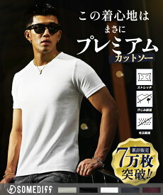【メール便対応】 Tシャツ メンズ 半袖 ストレッチ 厚手 白Tシャツ 白T 半袖Tシャツ 黒 Vネック クルーネック 無地 透けない インナー ブラック ホワイト グレー 細身 スリム XL XXL 大きいサイズ 夏 夏服 夏物 メンズファッション ちょいワル オラオラ系 joker ジョーカー