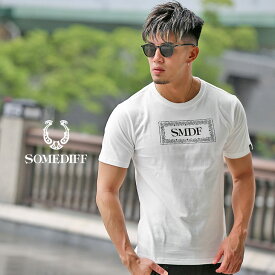 楽天市場 Tシャツ メンズ 半袖 ブランドの通販