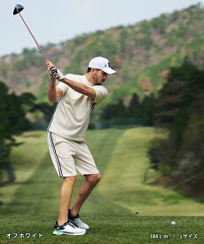 【DIVINER GOLF】 ゴルフウェア メンズ セットアップ ブランド 上下セット ゴルフ 半袖シャツ ハーフパンツ サイドライン モックネック 半ズボン 秋 秋夏 夏服 大きいサイズ XL XXL ライトグレー チャコールグレー オフホワイト JOKER ジョーカー ディバイナーゴルフ
