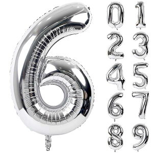 o[ A~D Vo[ 6 io[ 40C` 傫 a nbs[o[Xf[ t EFfBO LO p[eB[ 90cm (6)