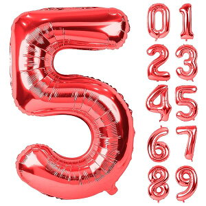 o[ A~D 5 io[ 40C` 傫 a nbs[o[Xf[ t  LO p[eB[ 90cm bh