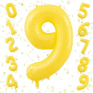 o[ 傫 40C` 100cm io[A~D at LO o[Xf[p[eB[ j l  w (9, F)