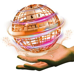 tCO{[ WC s{[gC UFO u[Xsi[ LEDCgt NX}X lCW߂Ăv[g (IW)