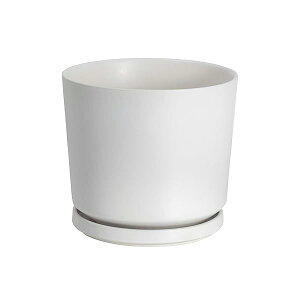 �A�ؔ� ���픫 �v�����^�[ 7�� 18cm �󂯎M�t�� ���t�� �� ������� �� ���A�� �C���e���A ���� ���� �ϗt�A��