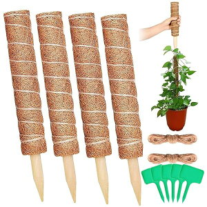 |xZbg - 4{30cmx + 2m + T^Ԍ^xA\AE{ێAϋvAg₷A_ƁE|p