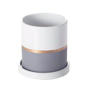 픫 Aؔ v^[  ~` ϗp 󂯎Mt  ϗtA k  ʋC  lTCY(10.6cm)