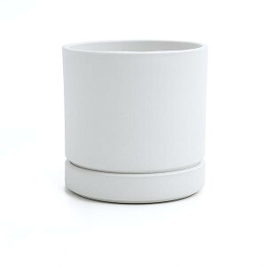 �A�ؔ� �󂯎M�t�� 4���i��12CM�j �����E�Ε��G�R�f�� �ό�E�h�� �}�b�g�����ȃI�V������ ���D�F (���D�F, 4��)