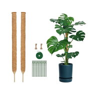 園芸 支柱 70cm 2PCS 太め モンステラ支柱 ココスティック DIY曲げる可能 観葉 つる性植物 植物 誘引 ガ…