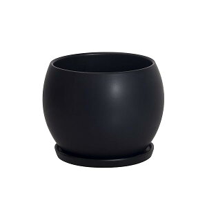 Aؔ 픫   󂯎Mt 5  v^[ A ϗtA t k   CeA  13cm