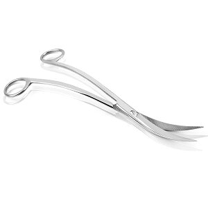  g~O S nT~ XeX O TCY | c[ ANAE Mы  ~ ϗtA  eiX (g^)