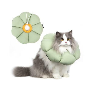 GUxXJ[ Lp p \tg h y p㏝ی rߖh~ ?h~ EHWȂ ΂̉Ԃ̌` LTCYc