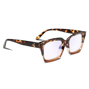 Vዾ u[CgJbg fB[X Y   lC g XNGA [fBOOX P[Xt B2479