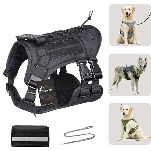  n[lX h~ ^ ^ [h   pn[lX pg[ ϋv ̂Rpn[lXiCybgx Xg[LOhb Og[jOn[l S 