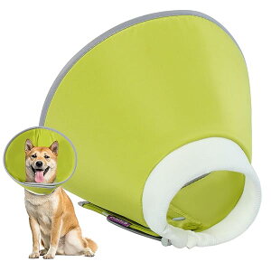 �G���U�x�X�J���[ �� �L �\�t�g �y�� �����\ �h�� �r�ߖh�~ �����~���h�~ �����E��D��p �畆���� �����ی� �����^�� - ���^���p�i�O���[���EXL�j