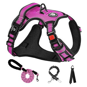 �� �n�[�l�X ���p���� ���߉\ ��Ԕ��� ���^��/���^��/��^�� �ʋC�� ���b�V�� ���s�⏕ �U�� �����p �y�� ���S ������� ��������h�~ �h�b�O �P�� �Č� �H�c�� �Z�b�g(���[�Y���b�h,M)